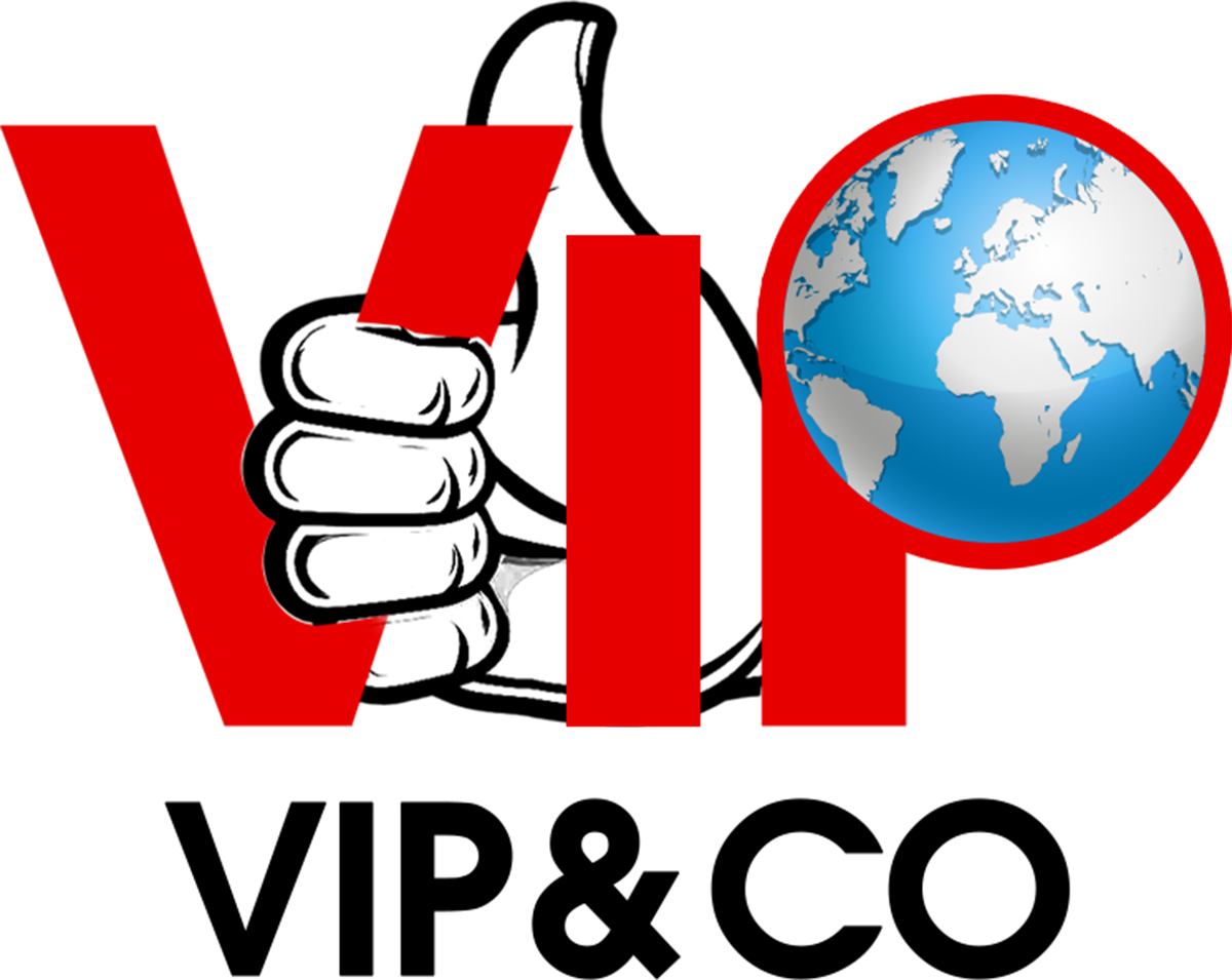 VIP & Co Logo
